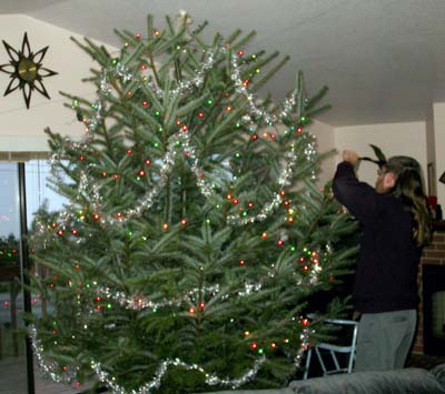 The decorated tree