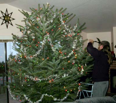 The decorated tree