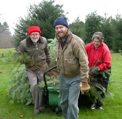 The tree on the garden cart