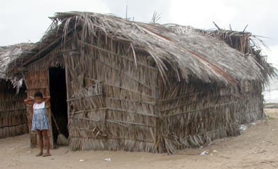 Thatched huts along the beach near Diogo