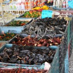 Open air grocery, Tulum. (something is wrong with the thumbnail, but if you click on this one, the photo stil comes up)