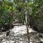 Ancient Tulum was a walled city. When you approach, you walk around the wall.