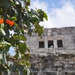 My favorite shot at Tulum.