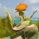 My other favorite shot at Tulum.