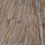 Roof detail of the palapa over our table at the restaurant.