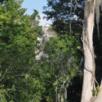 Peekaboo view of the other temple.