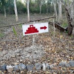 I loved the symbols used to indicate ruins.