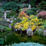 Hakone Gardens, Saratoga, CA