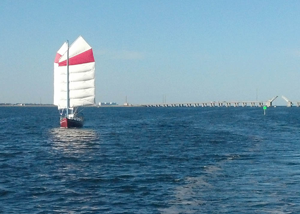 Flutterby in front of the Addison Point Bridge, near Cape Canaveral, Florida