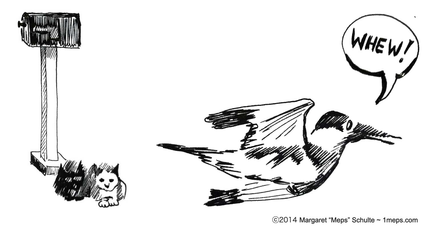 Pen and ink illustration of kittens and kingfisher