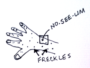 Drawing of no see ums (biting midges), expanded view