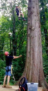 Gabriel rappels down a tree