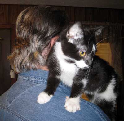 Dave with a shoulder cat