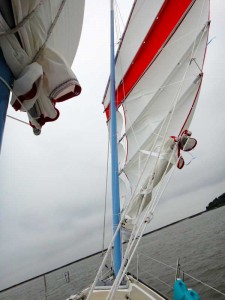 Main mast and horizon, showing how much Flutterby is heeled