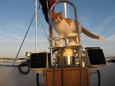 Photo of Ernie the Cat at the helm of Shirley Jeanne