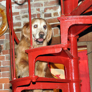 The first judge descends the staircase