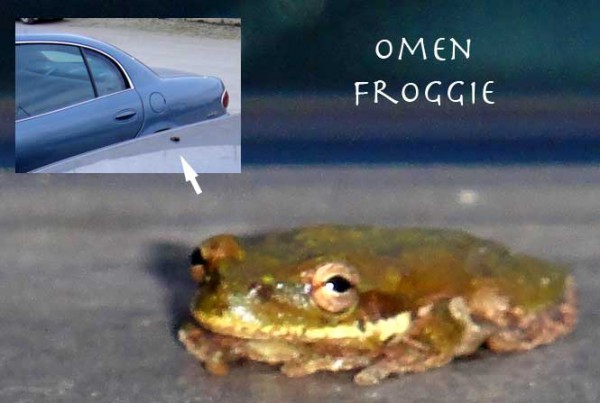 Omen Froggie sitting on Stevie's car with an inset showing his size