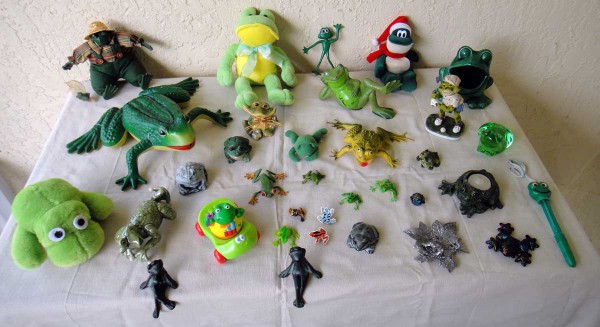 Display of Stevie's Froggies