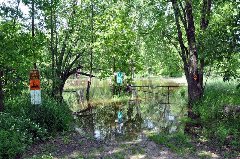 Flooding along the Mississippi