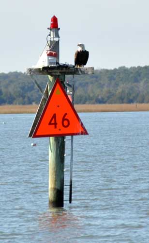 Another red one â€” with an eagle perched on it.